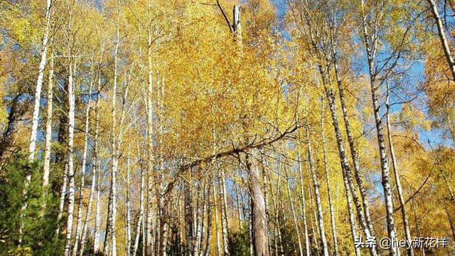 “西域水秀山清，神州天高地迥”——旅游地阿勒泰地区！