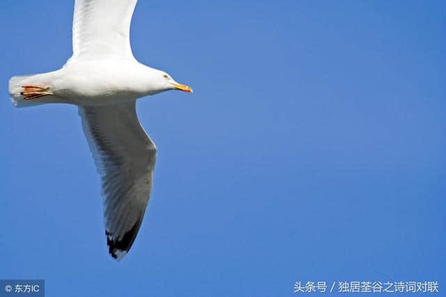 下联：天高任鸟飞；求上联