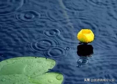 诗词丨十首听雨诗词：雨声淅淅，你在思念谁？