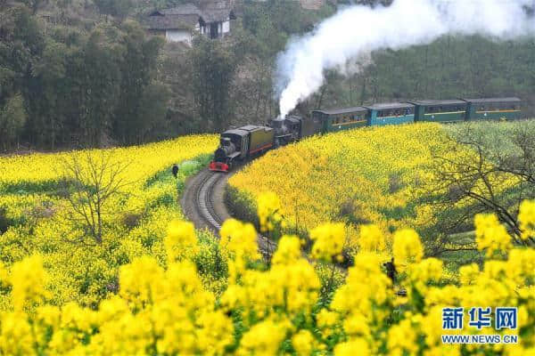 镜观中国·新华社国内新闻照片一周精选