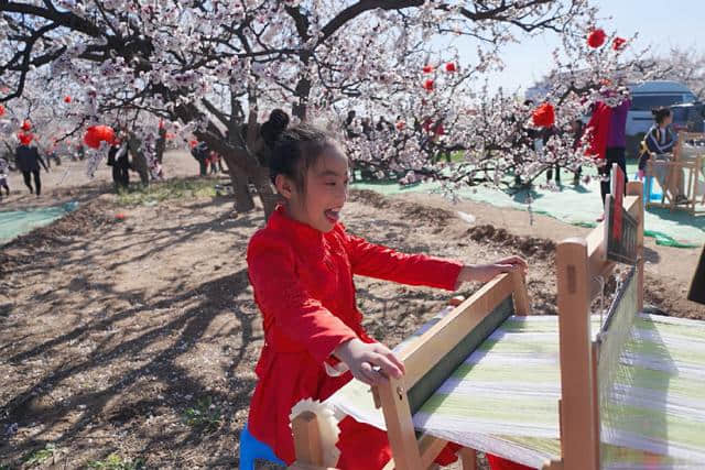 杏花撩春意，这一方沃土，开出五色彩锦