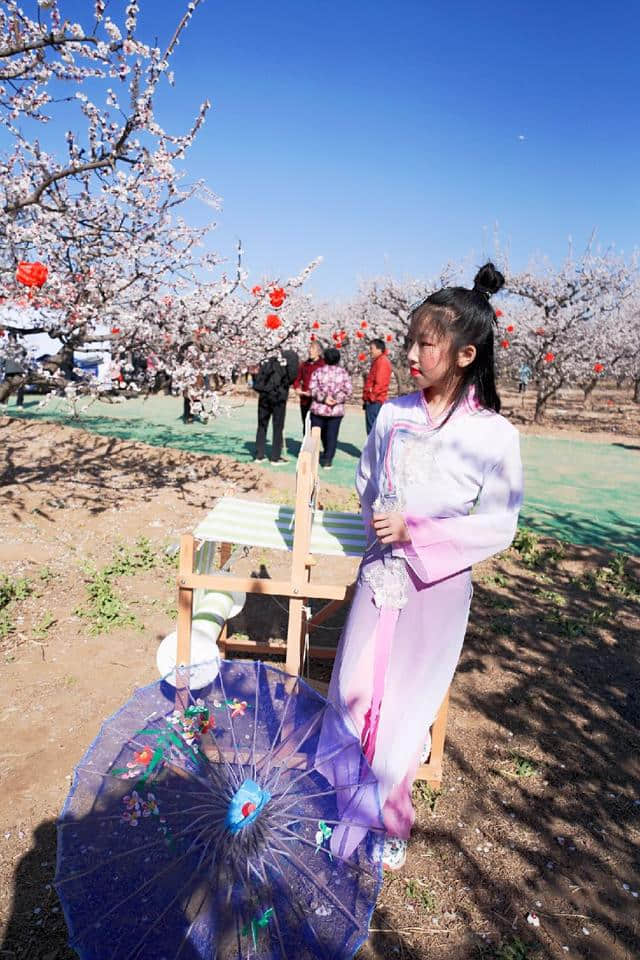 杏花撩春意，这一方沃土，开出五色彩锦