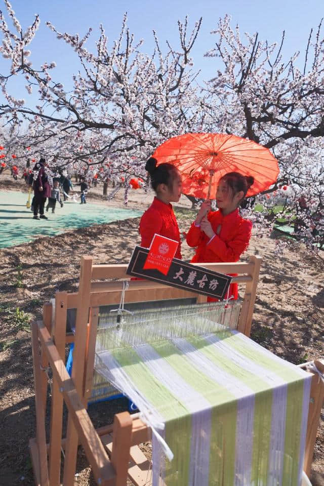 杏花撩春意，这一方沃土，开出五色彩锦