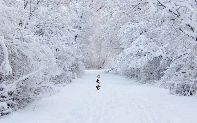 雪美，描写雪的诗词句更美，大雪节气，10段唯美词句带孩子读起来