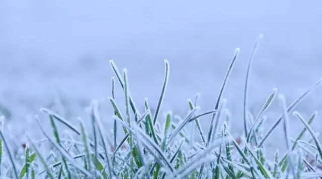 10首诗词中的雪景：晚来天欲雪，能饮一杯无？