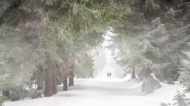 10首诗词中的雪景：晚来天欲雪，能饮一杯无？