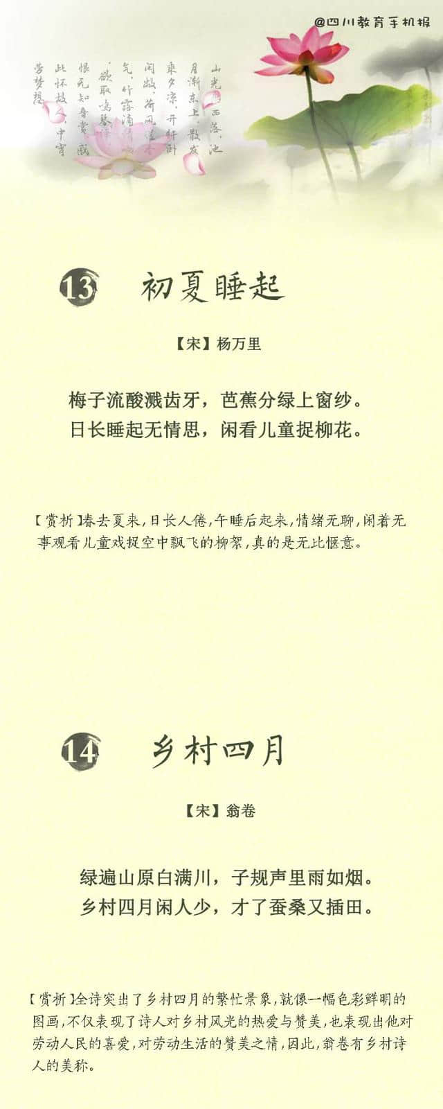 20首关于夏天的诗词，总有一首你会爱（为了孩子也要收藏）