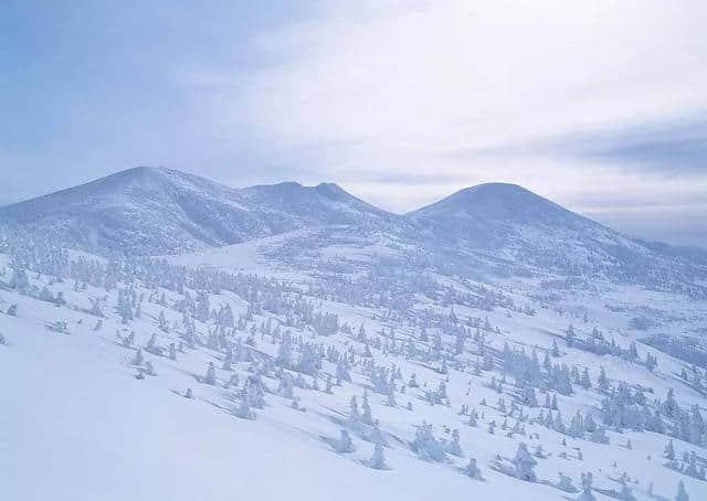 雪，有这么多可爱的别称