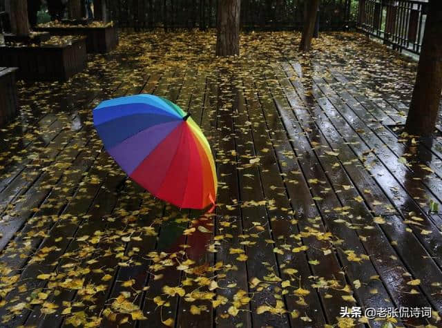 写秋天到来最美的诗句：“一夜雨声凉到梦，万荷叶上送秋来”