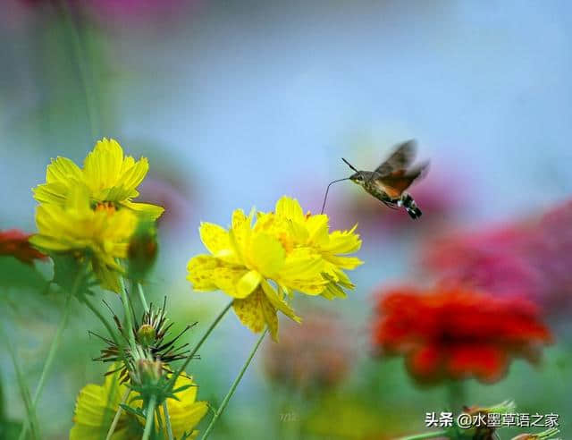 寒食本一个清冷的节日，韩翃的《寒食》诗却让他迎来暮年的曙光