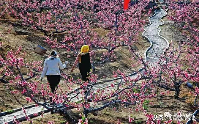 「我爱你沂源」这里是鲁村！