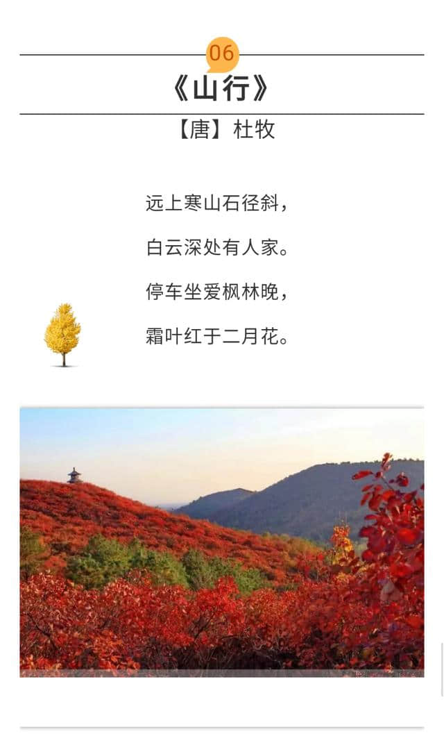 诗词丨这些关于秋天的好诗美景，你家孩子知道多少？