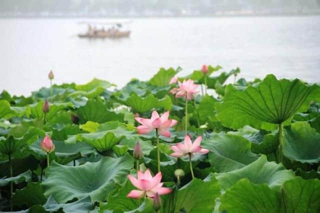 写西湖美景，欧阳修这首宋词最为精彩，7个字写出美景极致享受