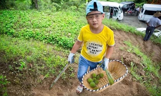 天凉好个秋 | 最是橙黄橘绿时，薄刀峰上赏枫来