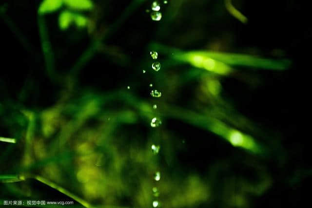 100句写“雨”名句集锦，你全会吗？