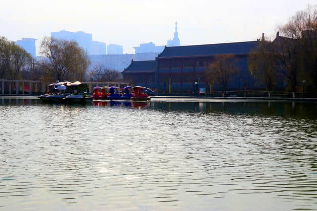 《天边树若荠,江畔洲如月》秋景《北方,北方》