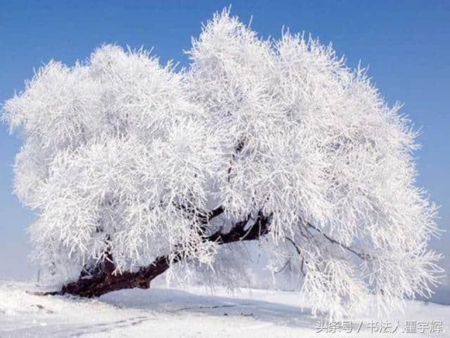 美，好多地方都下大雪了，来看看这些描写雪的诗句与绘画吧