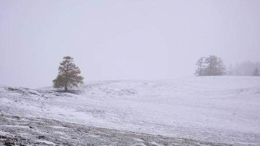 北国风光，千里冰封，万里雪飘；十首描写冬景的经典诗词