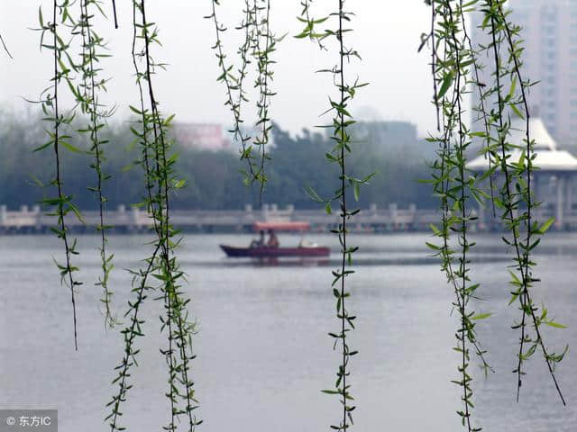 繁花似锦的春天，有文化的你读过这十首关于春天的古诗吗？