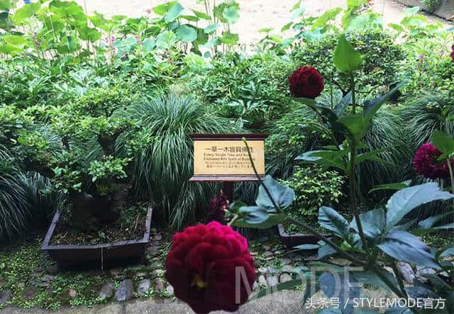 天台国清寺：隐于岁月山水间的隋代古刹