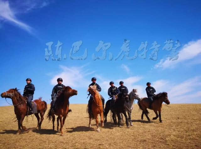 牧民的守护者——“海东青骑警队”