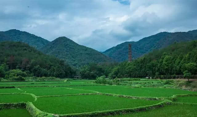 史上最详实的国清寺介绍 | 天台人，你值得收藏！