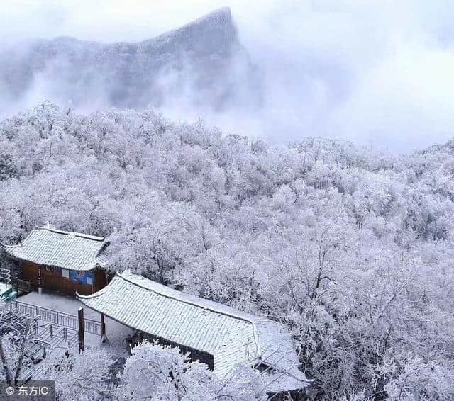 十首写大雪的绝句，十种个性不同的雪，十种红尘中的过客