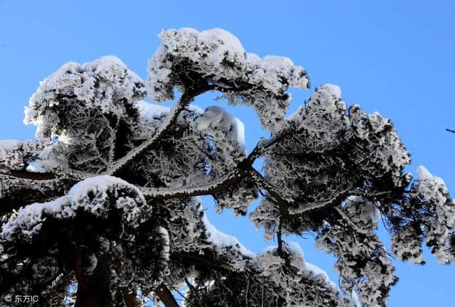 十首写大雪的绝句，十种个性不同的雪，十种红尘中的过客