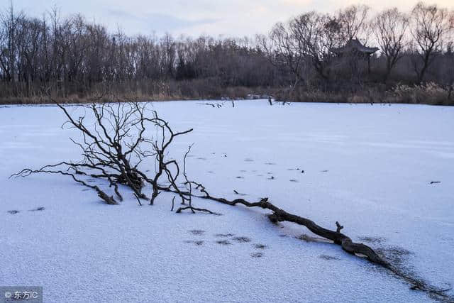 十首写大雪的绝句，十种个性不同的雪，十种红尘中的过客