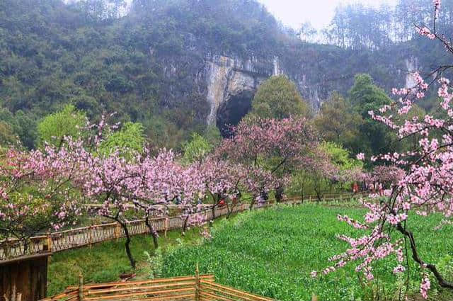 陶渊明和他的《桃花源记》