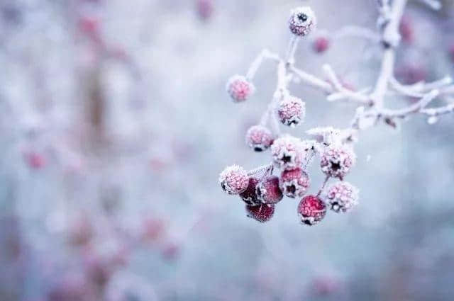 十首唯美写雪诗词，陪你邂逅最美冬日风光