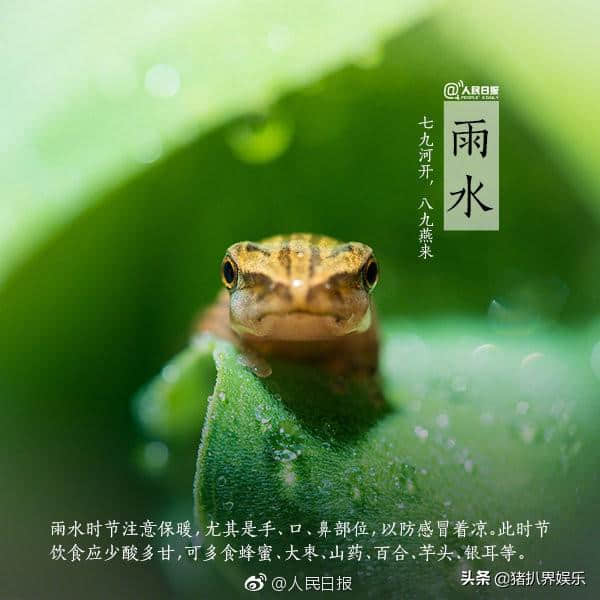 美得让人心醉！人民日报盘点古代描述春雨的7首诗词，值得收藏！