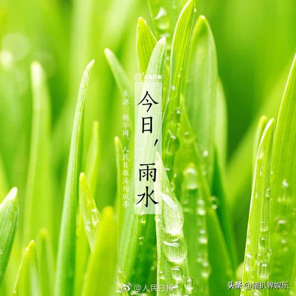 美得让人心醉！人民日报盘点古代描述春雨的7首诗词，值得收藏！