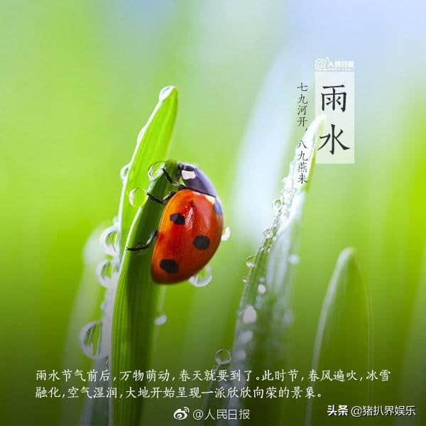 美得让人心醉！人民日报盘点古代描述春雨的7首诗词，值得收藏！