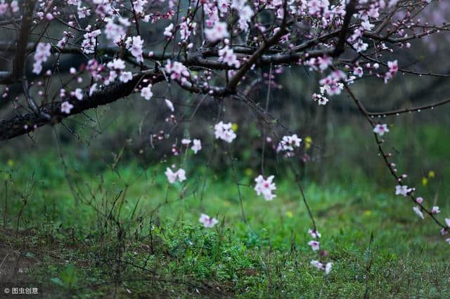 描写春花、春雨的优美段落集锦，春游写作必备干货！