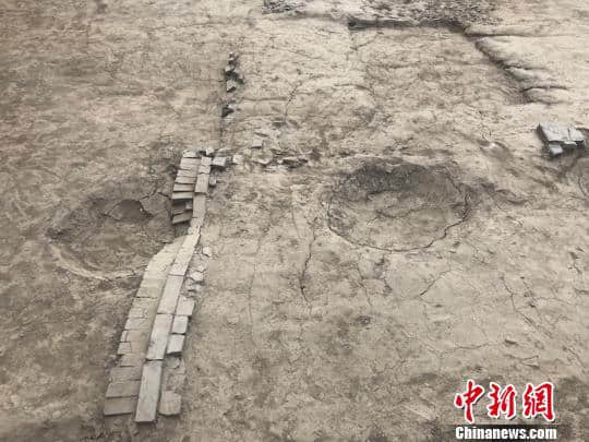 江苏掘港唐宋国清寺出土近千件文物史料 “重现”古刹全貌