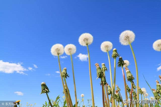 描写春天的比喻句、拟人句和排比句，为孩子收藏吧！