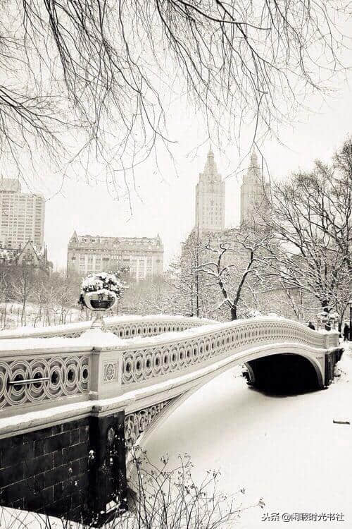 冬已至，雪已来，描写雪景的唯美古诗句，你还记得几句？