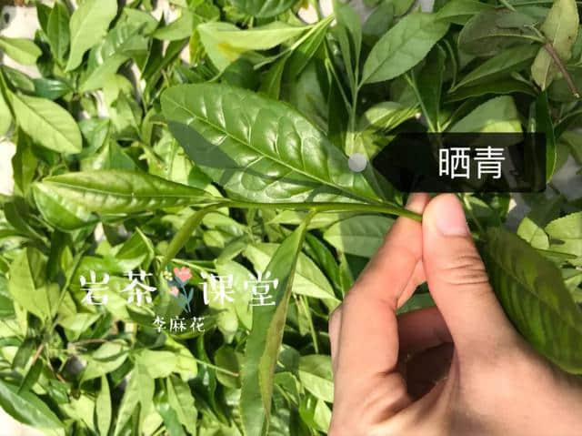 回甘，判断岩茶品质好坏的指标之一！