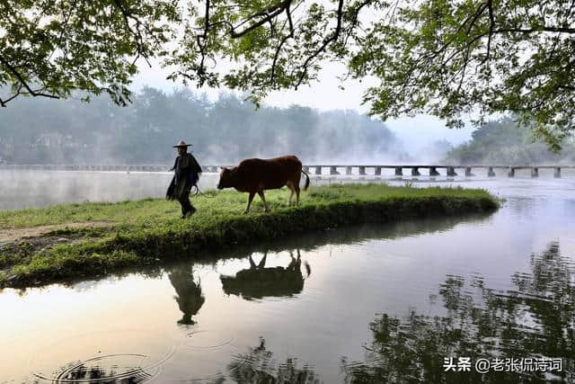 王维笔下最美的田园唐诗，对牛的描写，展现一个诗情画意新世界