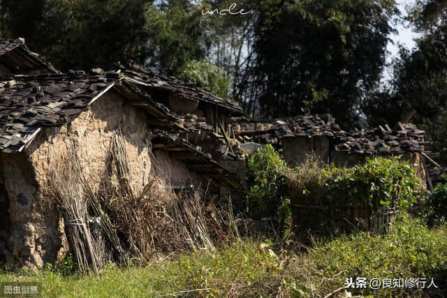 诗词品读┃杜甫：春望（国破山河在，城春草木深。）