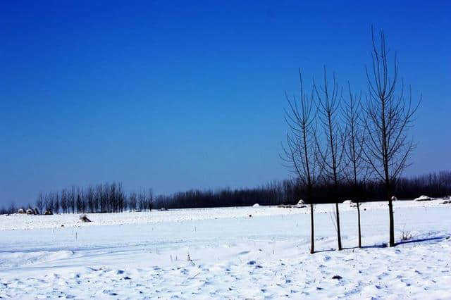 古诗词中写雪的句子，你知道多少？