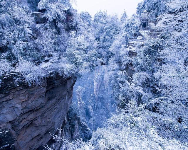 古诗词中写雪的句子，你知道多少？