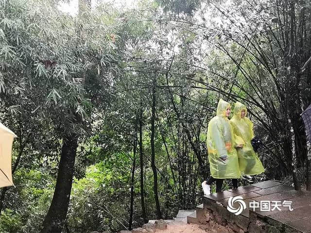 福建桃源洞景区雨雾缭绕 游客冒雨赏景