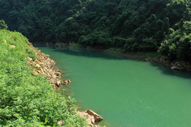 桃花流水鳜鱼肥，此鱼最为鲜美肥腴