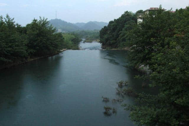 桃花流水鳜鱼肥，此鱼最为鲜美肥腴