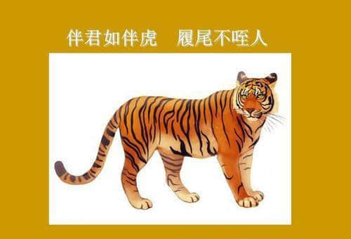 品味《易经》履卦——跟着猛虎行，须谨慎防危