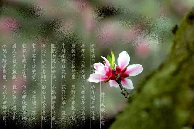 唐伯虎：桃花庵歌