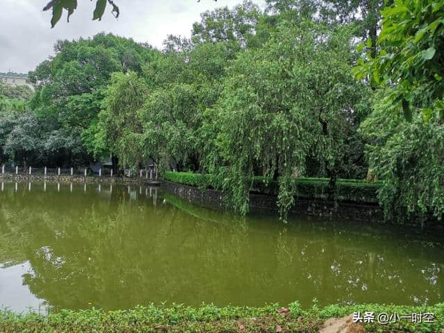 诗情画意：桃花流水窅然去，别有天地非人间