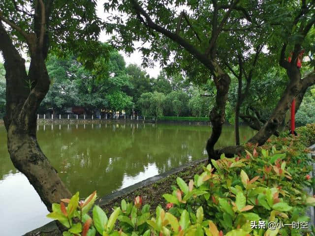 诗情画意：桃花流水窅然去，别有天地非人间